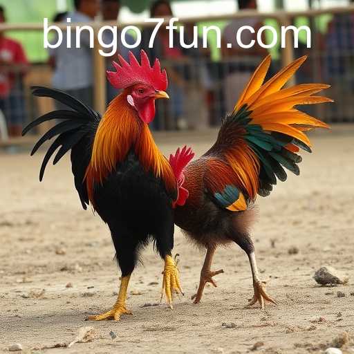 Sabong Games on BINGO7: Tradition Meets Digital Innovation